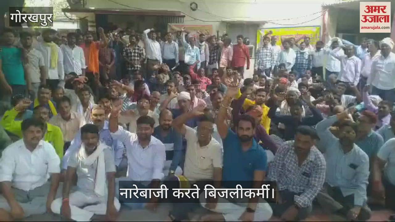 VIDEO : Electricity workers protested against various demands, raised slogans - work stopped