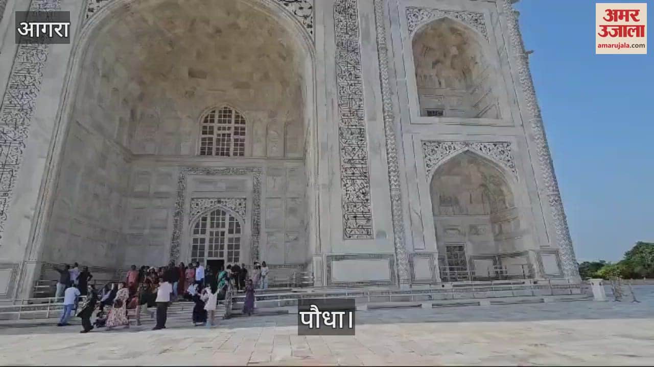 VIDEO : ताजमहल के मुख्य गुंबद की संगमरमरी दीवार पर उग आया पौधा