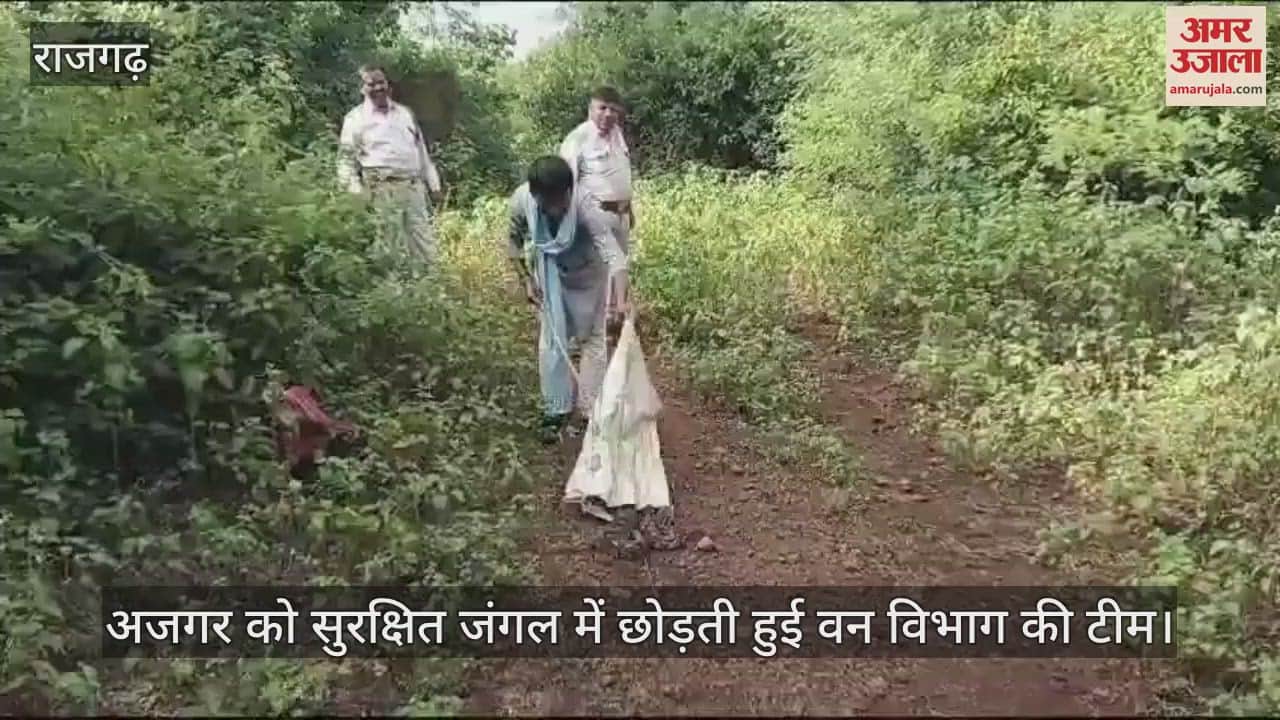 When! The villagers were shocked after seeing python in the village! Then the forest department team did this