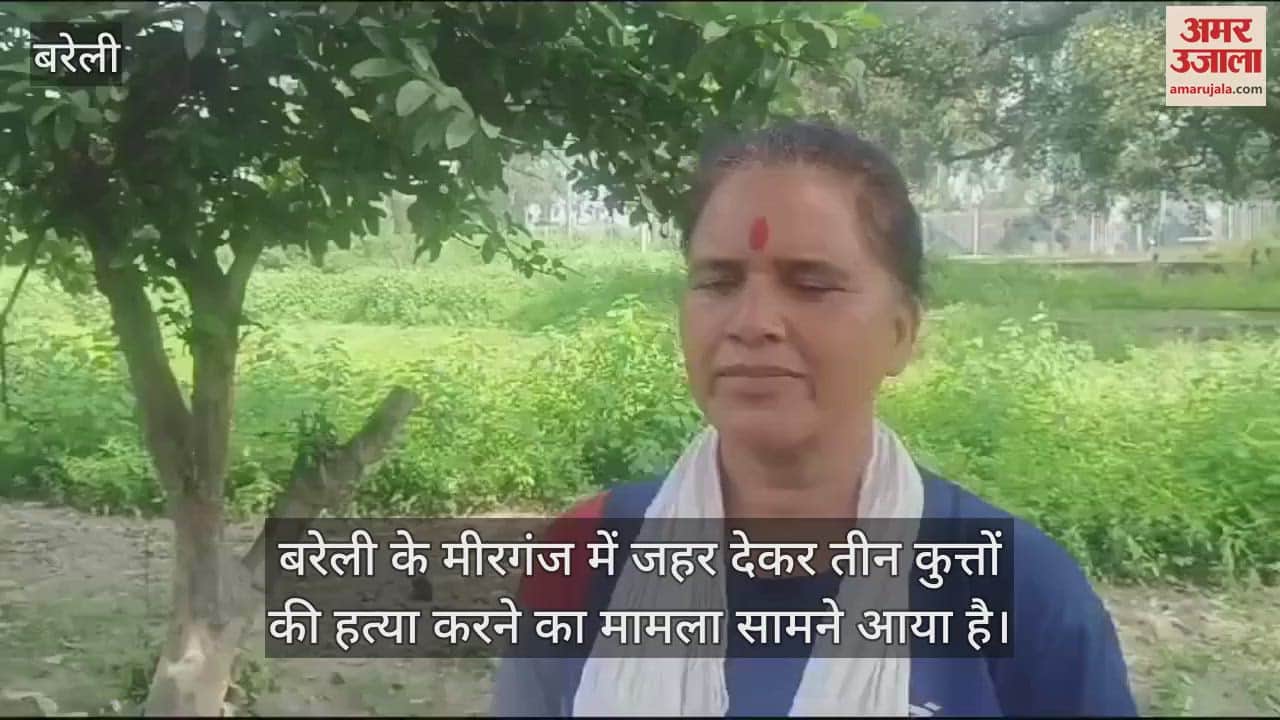 VIDEO : बरेली में तीन कुत्तों को जहर देकर मारने का आरोप, रिपोर्ट दर्ज