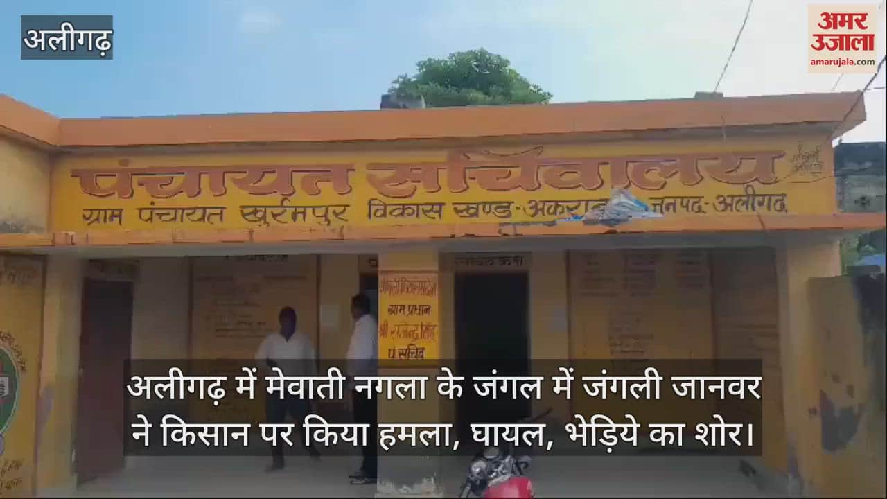 VIDEO : अलीगढ़ में मेवाती नगला के जंगल में जंगली जानवर ने किसान पर किया हमला, घायल, भेड़िये का शोर