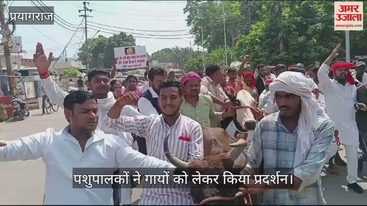 VIDEO : Unique Dhara of SP in Prayagraj: Cattle farmers going to donate cows to DM have heated argument with police