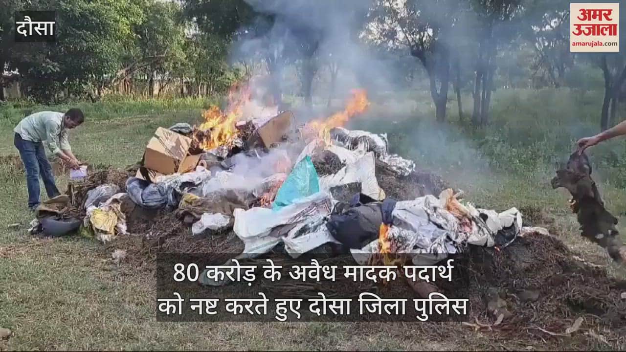 Dausa News: 1150 kg of illegal drugs seized under NDPS Act and destroyed, market price is Rs 80 crore