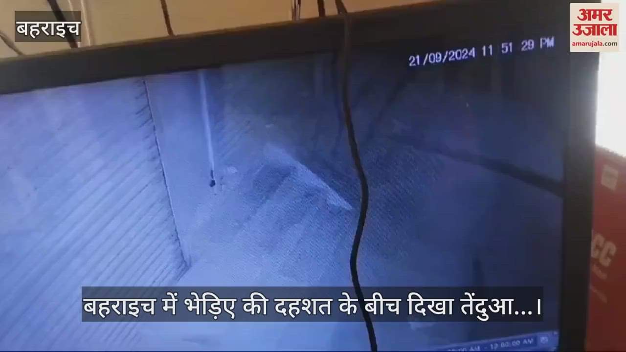 VIDEO : बहराइच में भेड़िए की दहशत के बीच दिखा तेंदुआ...