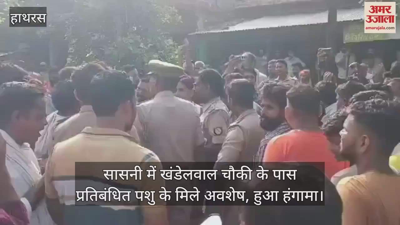 VIDEO : सासनी में खंडेलवाल चौकी के पास प्रतिबंधित पशु के मिले अवशेष, हुआ हंगामा