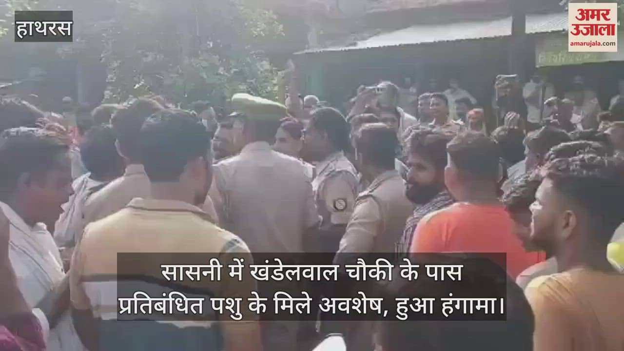 VIDEO : सासनी में खंडेलवाल चौकी के पास प्रतिबंधित पशु के मिले अवशेष, हुआ हंगामा