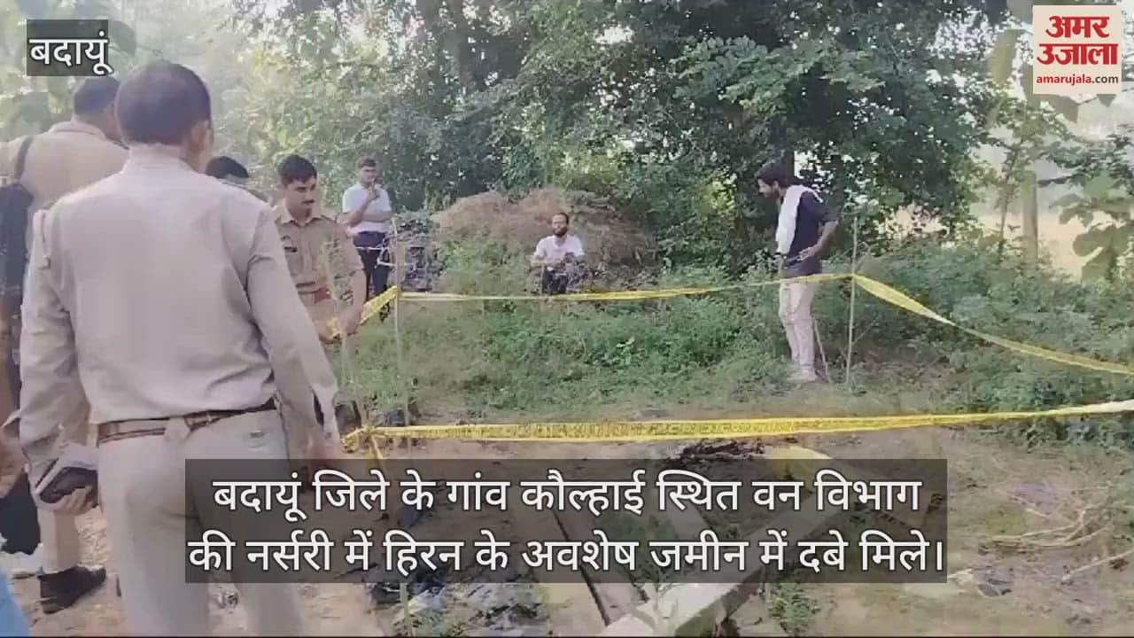 VIDEO : बदायूं में हिरन का शिकार... वन विभाग की नर्सरी में दबी मिलीं हड्डियां