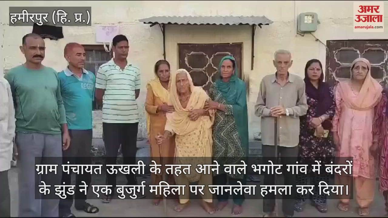 VIDEO : Monkeys attacked an elderly woman in Bhagot Gram Panchayat Ukhli Hamirpur