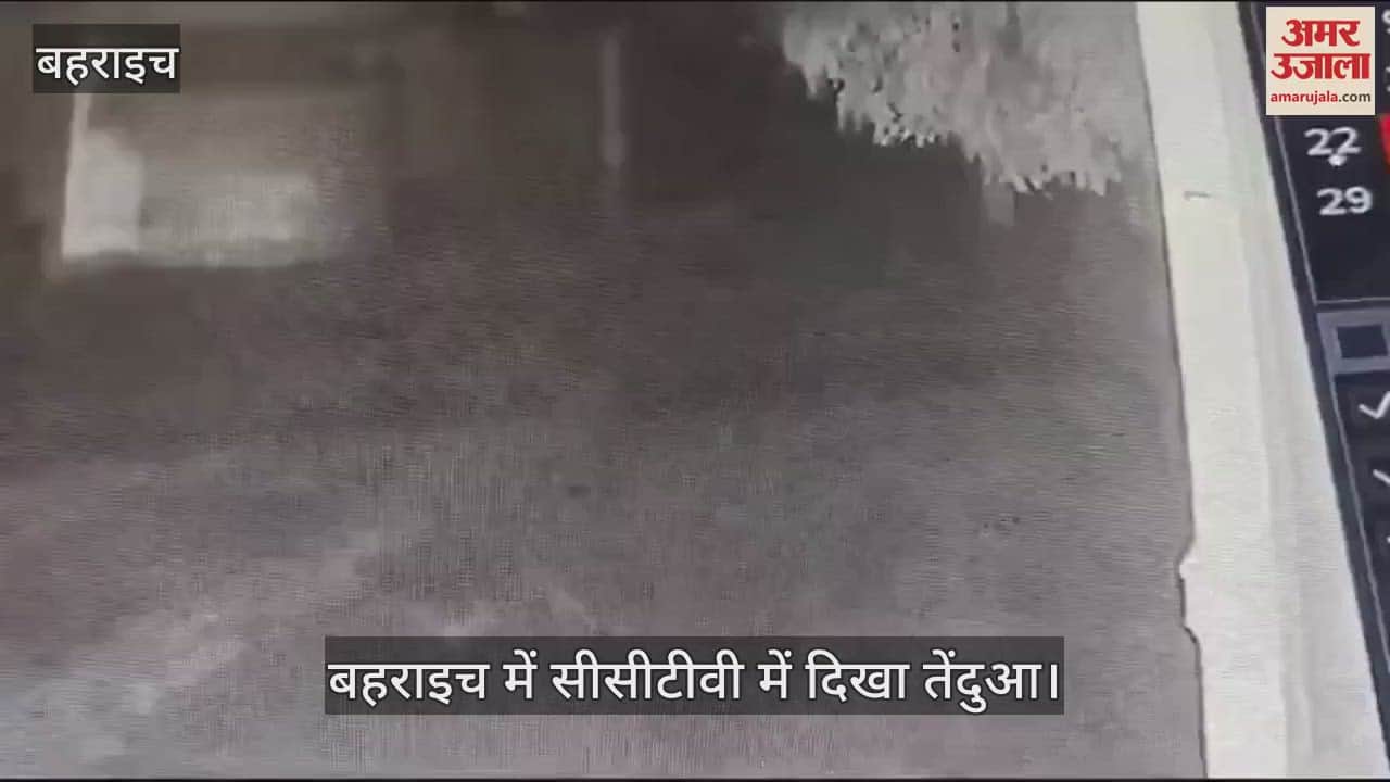 VIDEO : बहराइच में सीसीटीवी में दिखा तेंदुआ