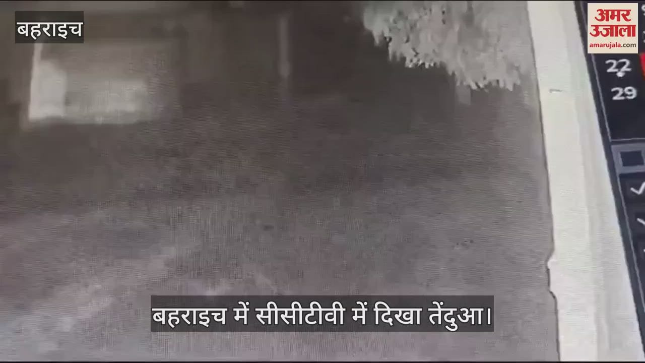 VIDEO : बहराइच में सीसीटीवी में दिखा तेंदुआ