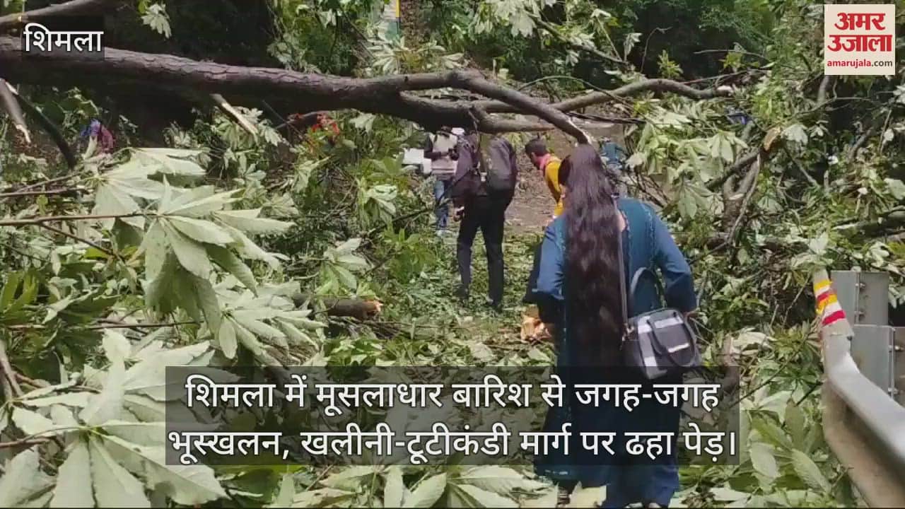 VIDEO : Torrential rains in Shimla caused landslides at many places, tree collapsed on Khalini-Tutikandi road