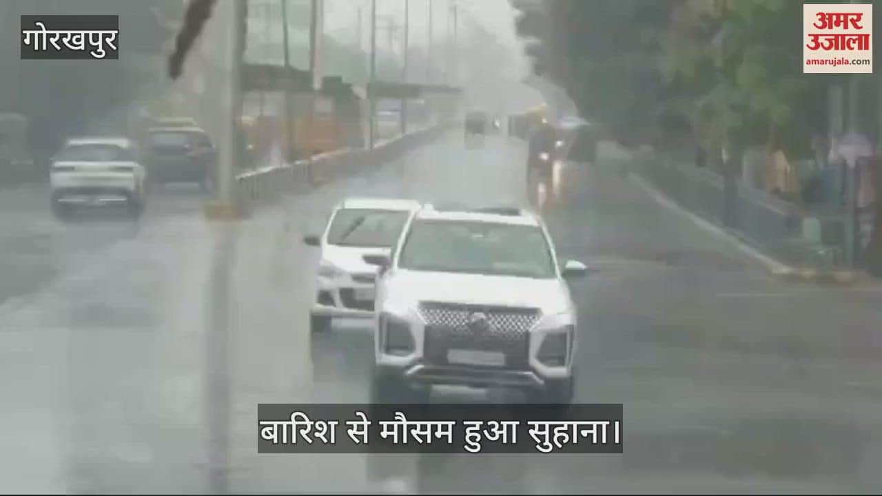 VIDEO : Weather pleasant due to rain after change in weather in Gorakhpur