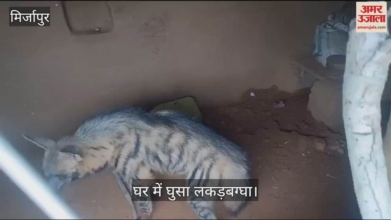 VIDEO : Hyena entered a house in Mirzapur, villagers panicked