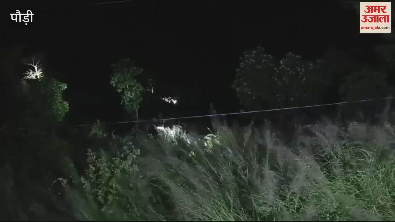 VIDEO : Car fell into a ditch near Dhauladhar on Rishikesh Badrinath Highway one dead Uttarakhand Accident news