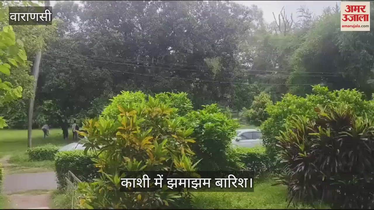 VIDEO : weather pleasant due to rain after change in weather in Kashi