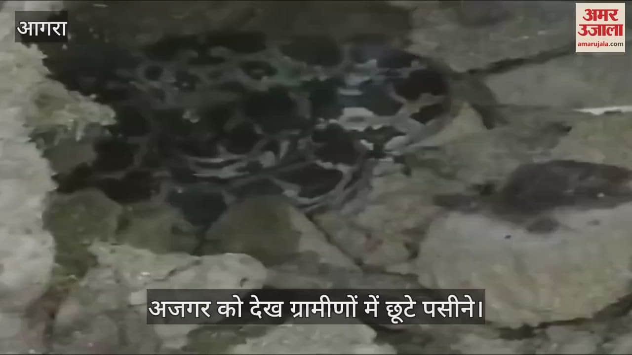 VIDEO : रात के अंधेरे में गांव में घुस आया विशाल अजगर, देखते ही छूटे ग्रामीणों के पसीने