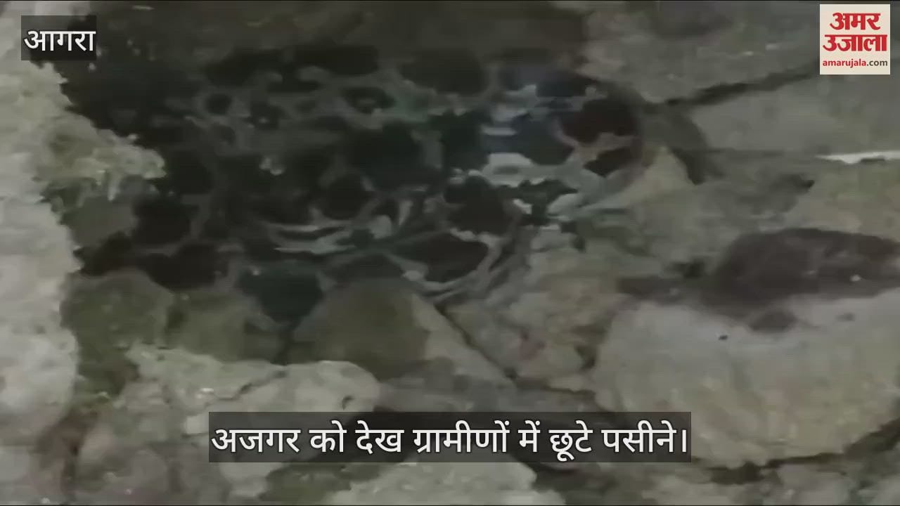 VIDEO : रात के अंधेरे में गांव में घुस आया विशाल अजगर, देखते ही छूटे ग्रामीणों के पसीने
