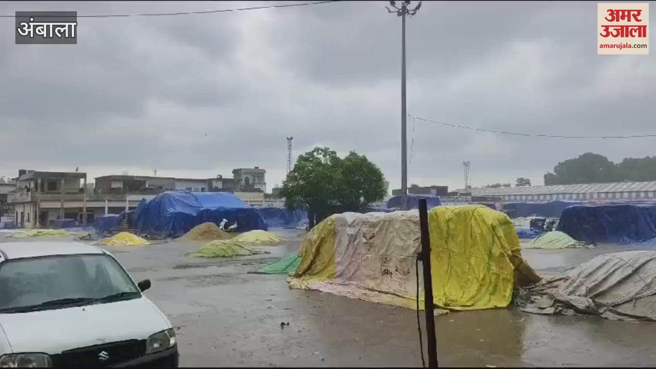 VIDEO : Stage under the shed, paddy covered with tarpaulin...rain before Union Minister Amit Shah's program in Ambala