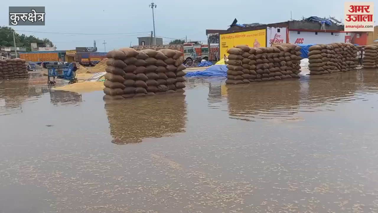 VIDEO : Disaster rain in Kurukshetra, paddy soaked in market, waterlogging occurred