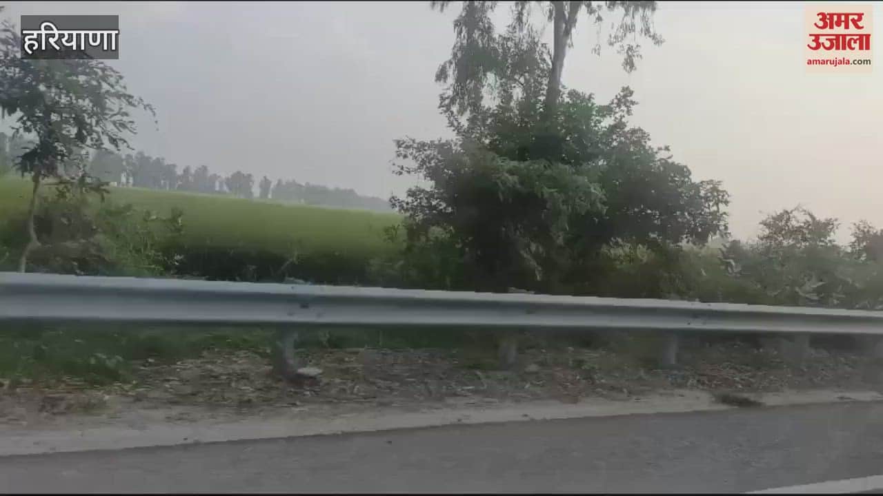 VIDEO : चौटाला ने कसा तंज, टोचन करके चल पड़े दोनों यार