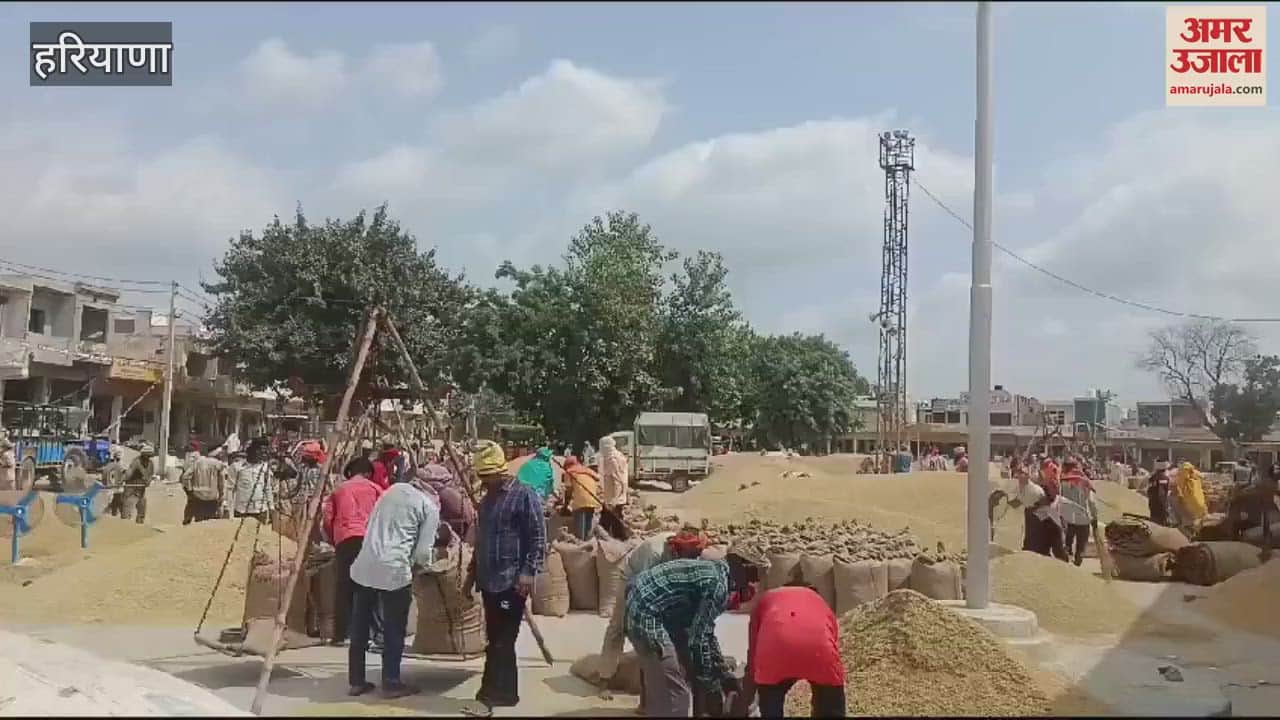 VIDEO : Kaithal: Farmers locked out Mandi when government procurement of paddy did not start