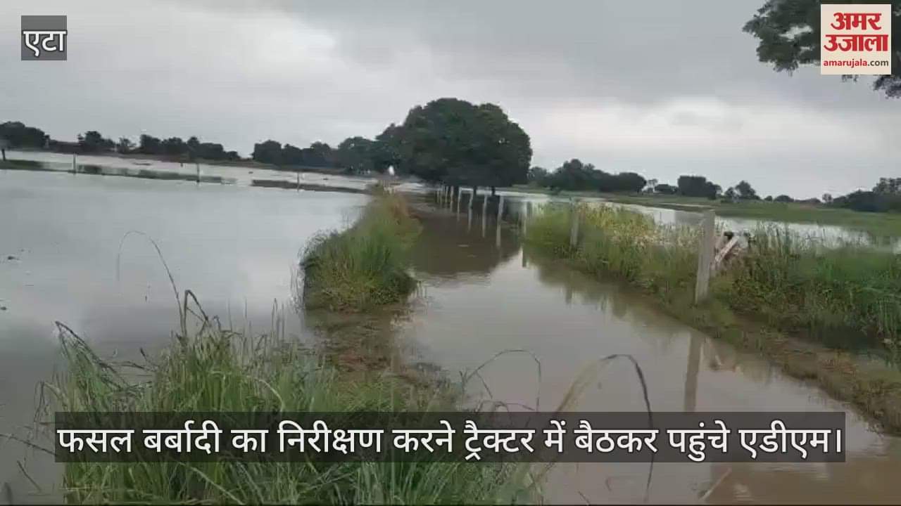 VIDEO : फसल बर्बादी का निरीक्षण करने ट्रैक्टर में बैठकर पहुंचे एडीएम