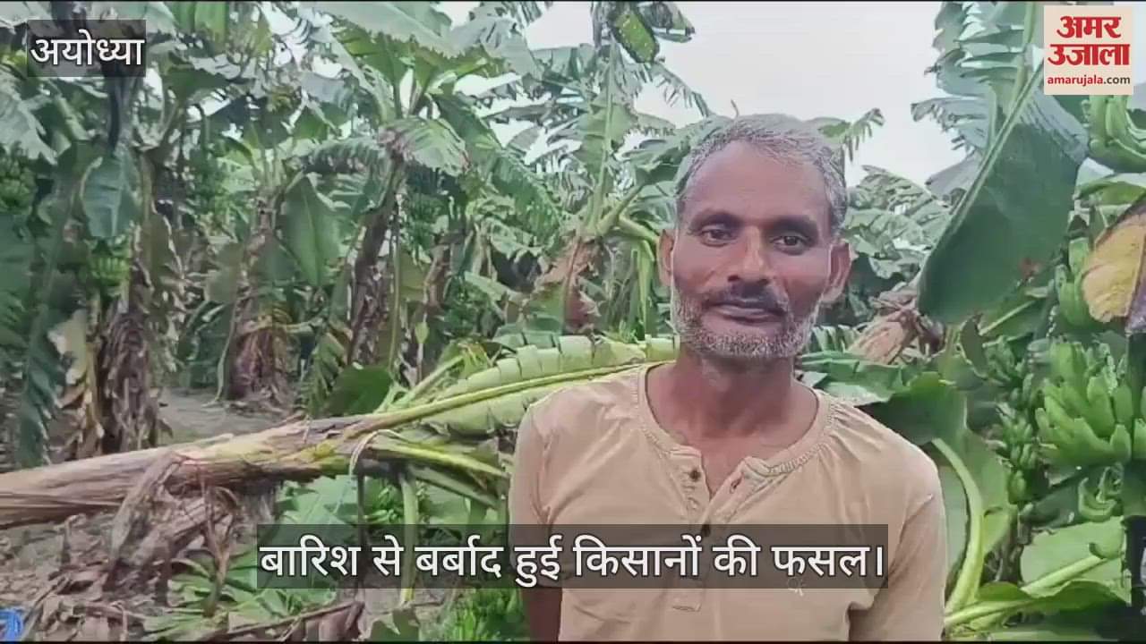 VIDEO : अयोध्या में किसानों के लिए बर्बादी लेकर आई बेरहम बारिश, फसल हो रही बर्बाद