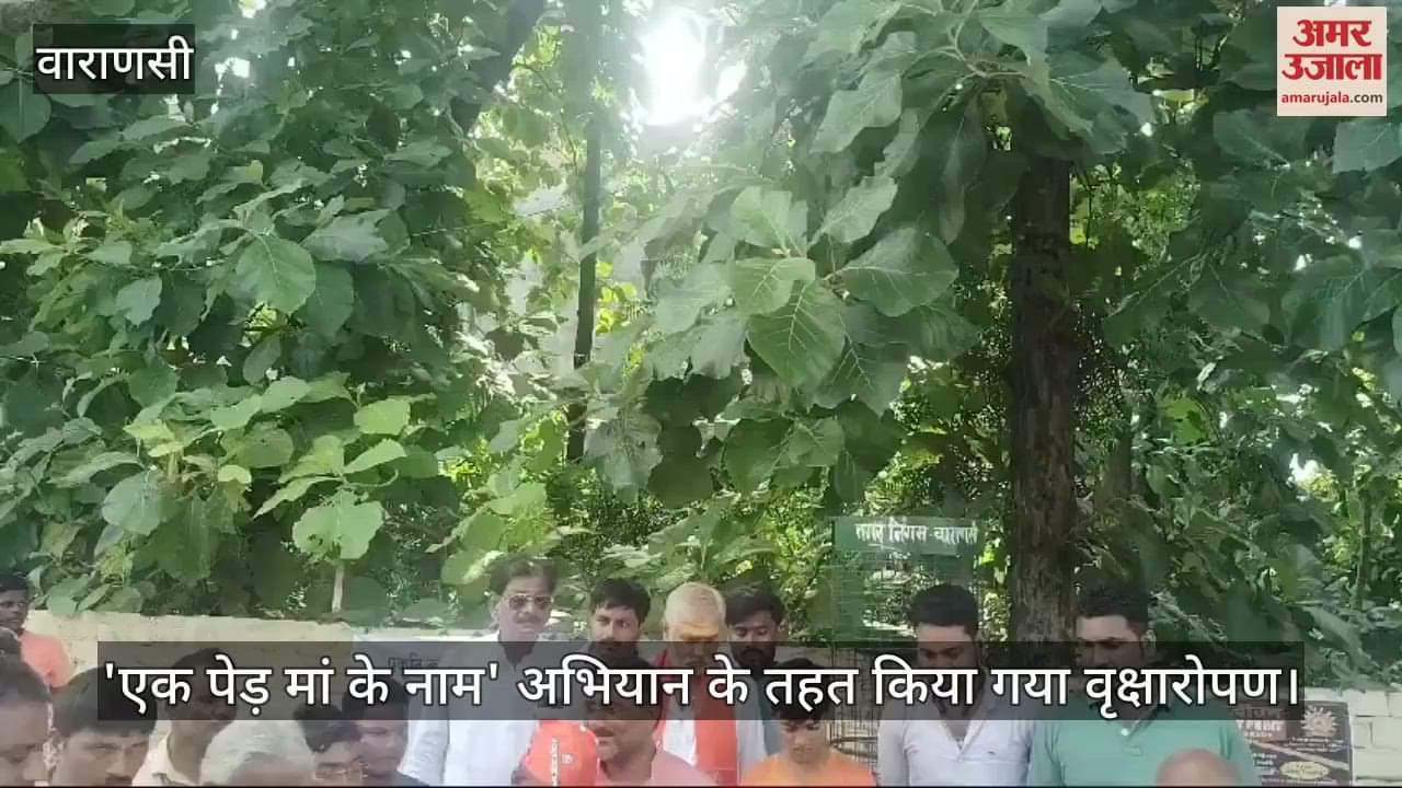 VIDEO : Tree plantation done under campaign One tree in name of mother' of Swachhata Hi Seva-2024