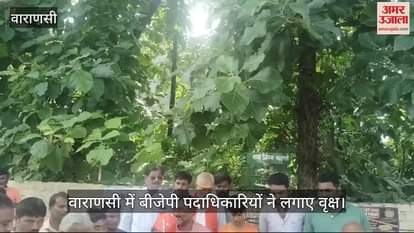 VIDEO : Tree plantation program in Varanasi, BJP officials planted a tree in the name of mother