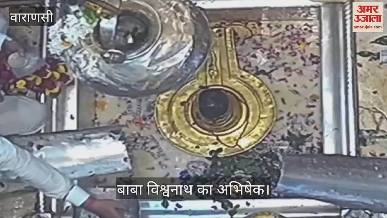 VIDEO : Baba Vishwanath was anointed with 11 liters of thandai to atone for sins of those who ate Tirupati laddu