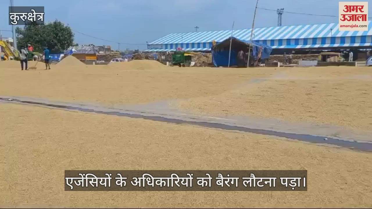 VIDEO : कुरुक्षेत्र प्रशासन के पास नहीं कोई व्यवस्था, थानेसर अनाजमंडी के आढ़तियों ने किया धान खरीद न करवाने का एलान