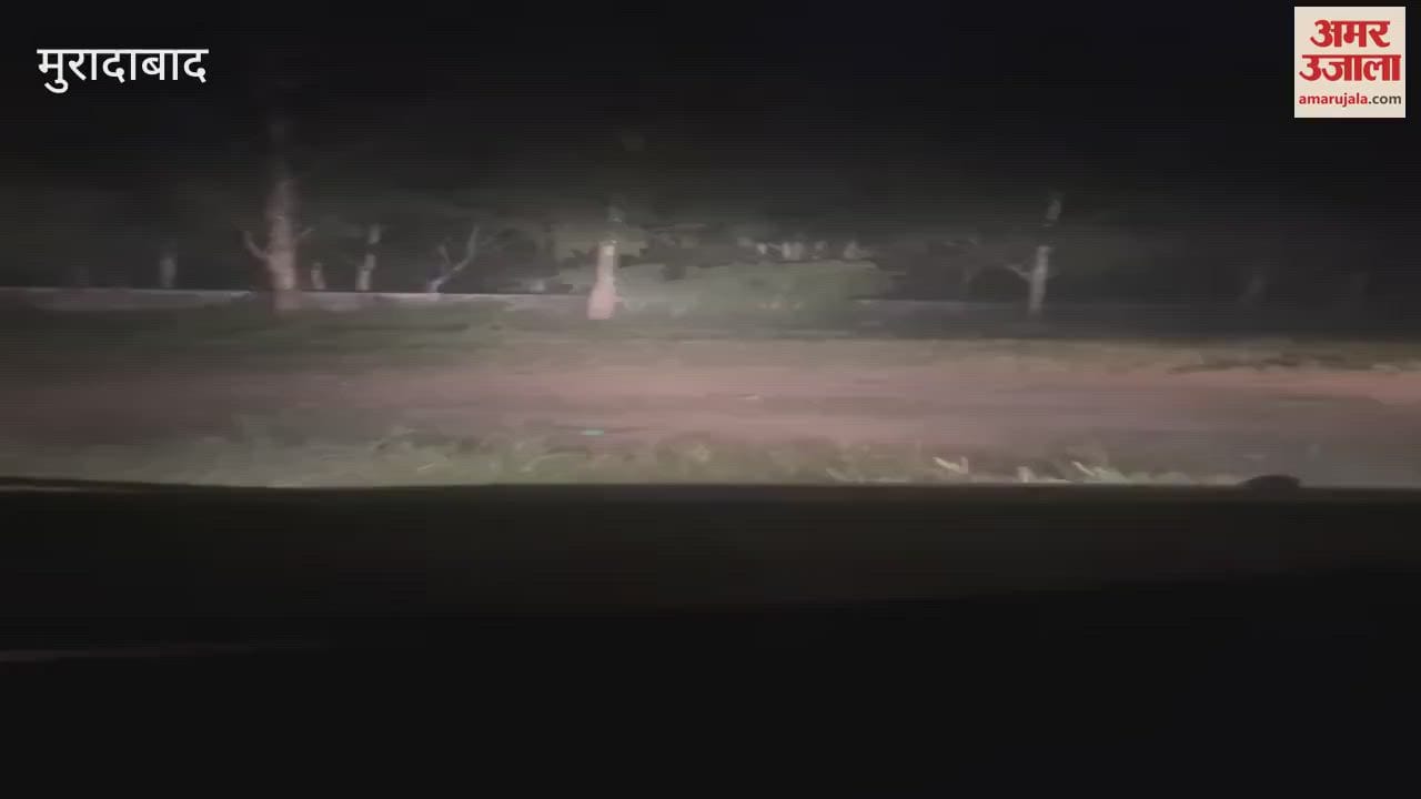 VIDEO : Leopard seen in forest near Badshahpur Inter College, panic spread among villagers