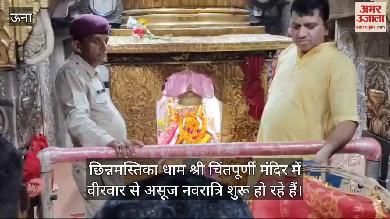 VIDEO : Preparations begin to decorate the court of Maa Chintapurni on Asuj Navratri