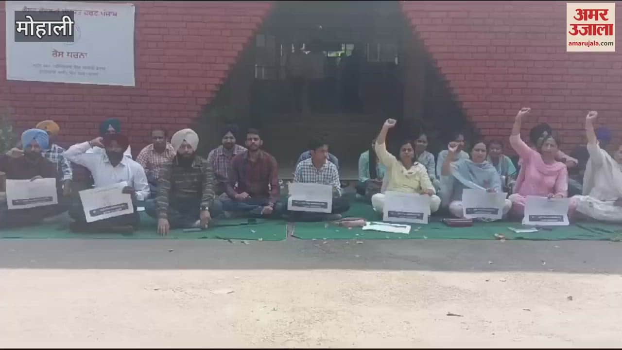 VIDEO : Guest Faculty Assistant Professor United Front demonstrated in Mohali