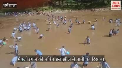 VIDEO : Water leakage in the holy Dal Lake of McLeodganj, fishes were taken out from the mud and put in the pond