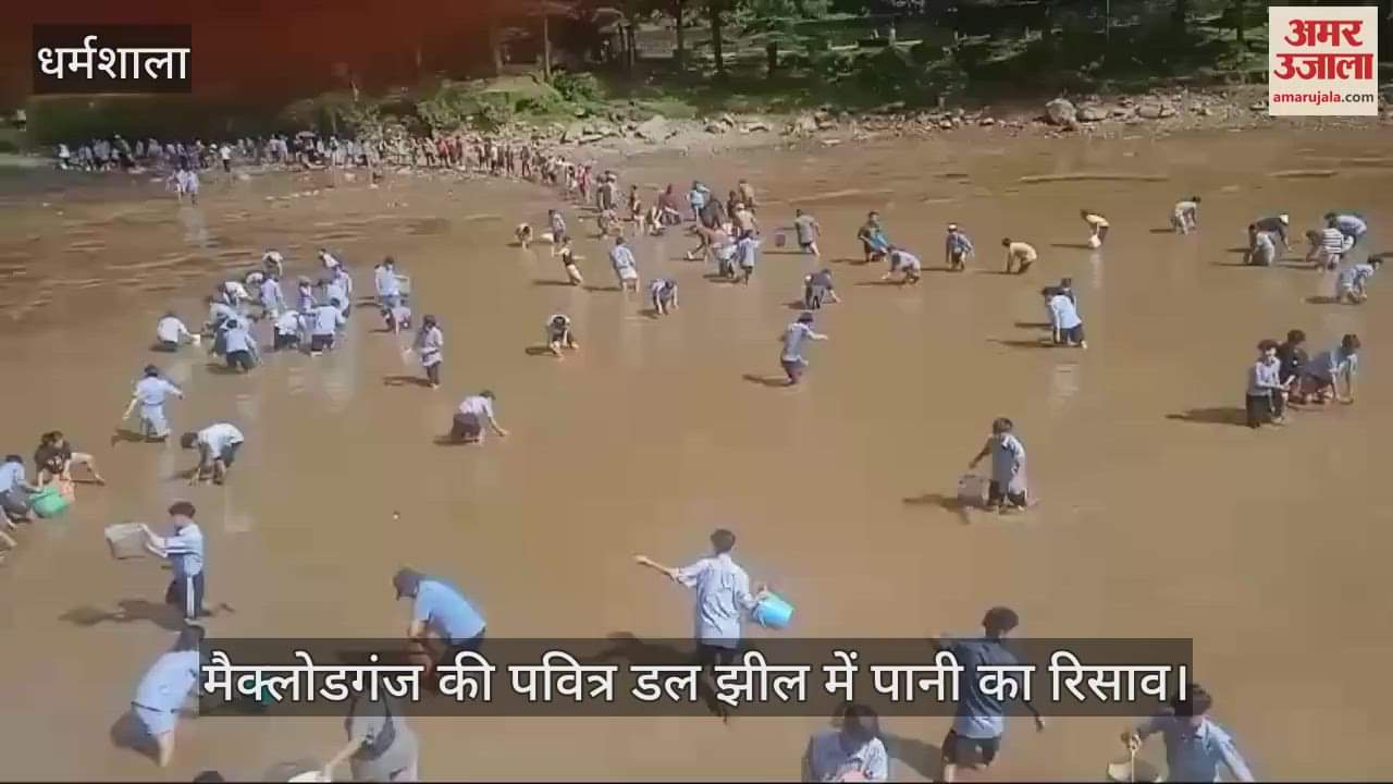 VIDEO : Water leakage in the holy Dal Lake of McLeodganj, fishes were taken out from the mud and put in the pond