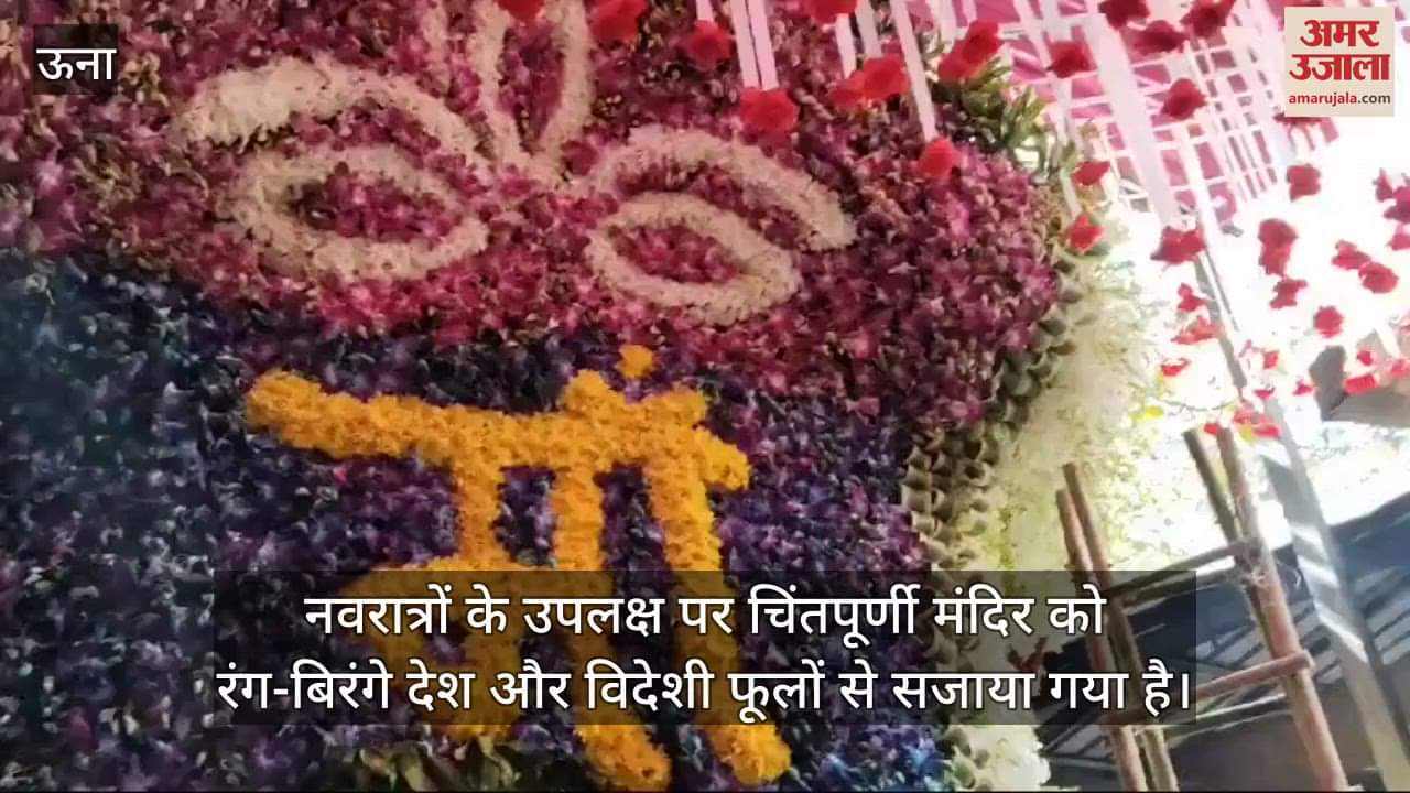 VIDEO : Delhi devotees decorated the temple of Maa Chintapurni