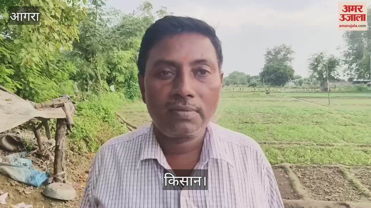 VIDEO : आगरा की सहकारी साधन समितियों पर नहीं है डीएपी, जानें क्या कहते हैं किसान