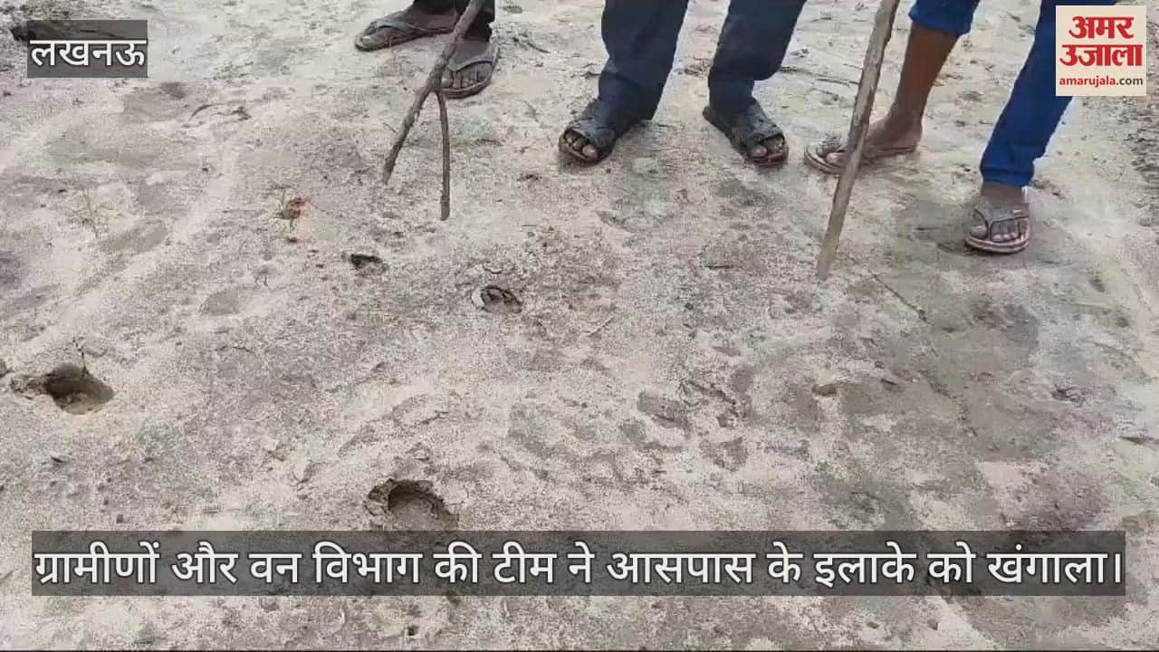 VIDEO : रायबरेली के खीरों में भेड़िया या लकड़बग्गा की दस्तक से दहशत, वन विभाग की टीम ने की छानबीन