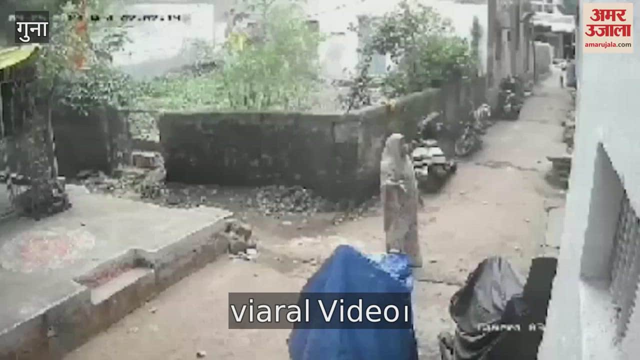 The dog beaten with sticks pelted with stones, then dragged on a bike and killed