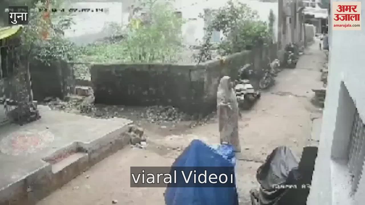 The dog beaten with sticks pelted with stones, then dragged on a bike and killed
