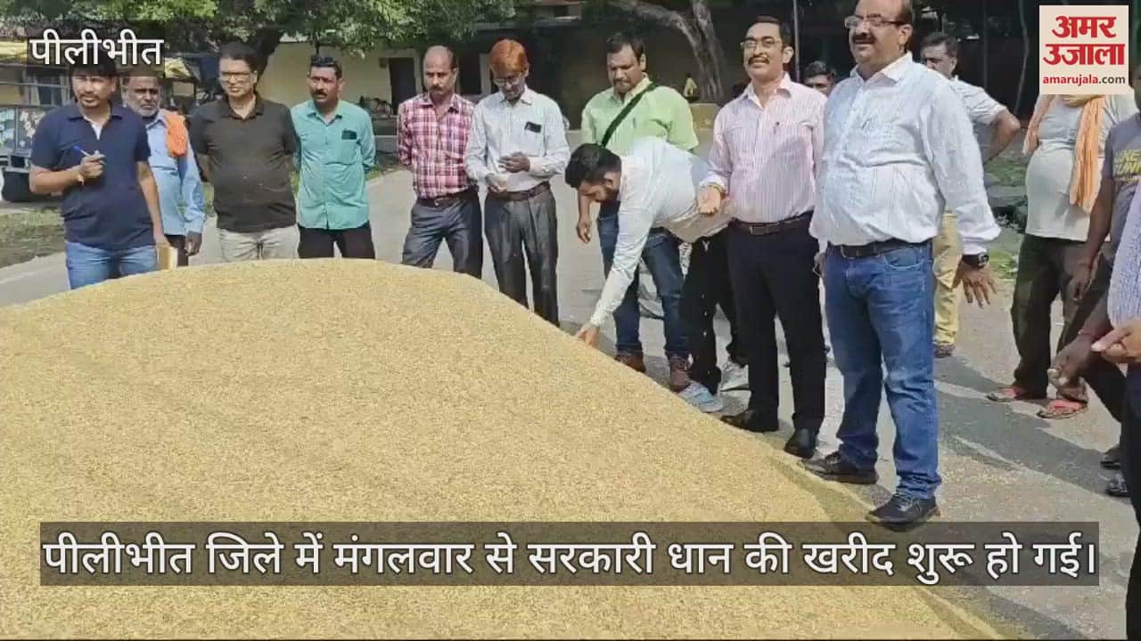 VIDEO : पीलीभीत में धान की खरीद शुरू, पहले दिन 1900 रुपये प्रति क्विंटल की दर से बिका