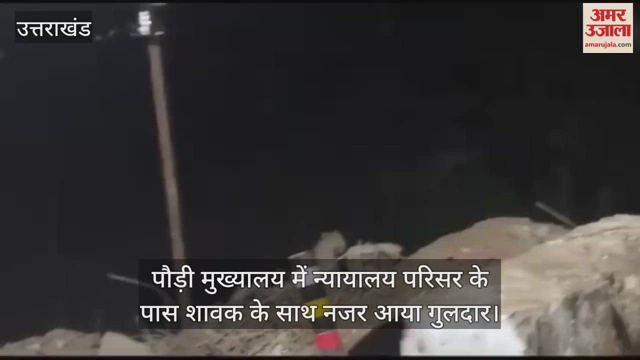 VIDEO : Leopard seen with cub near court premises in Pauri panic among people