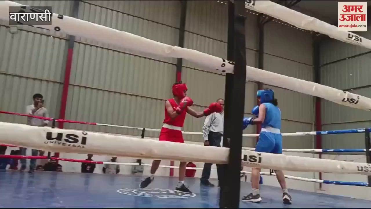 VIDEO : Fifteen boxers play in divisional competition players showed strength