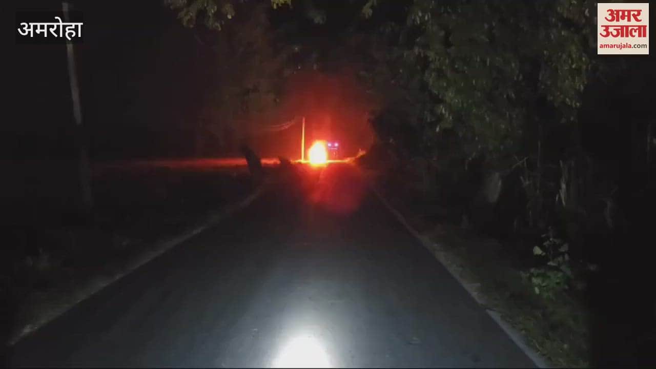VIDEO : car caught fire while running on road Amroha, two people saved their lives by jumping