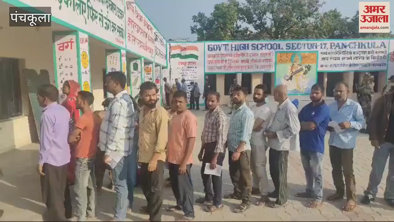 VIDEO : Voting in Panchkula