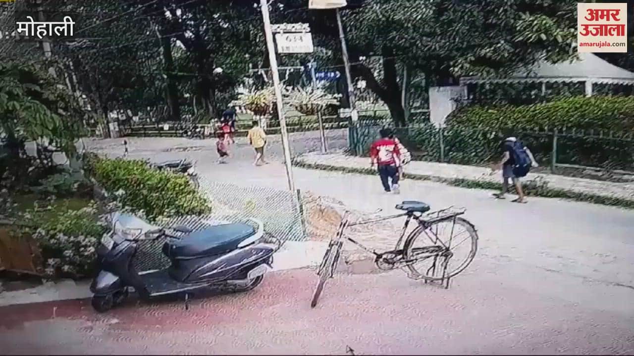 VIDEO : Man Slapped child returning home from tuition incident captured in video Mohali