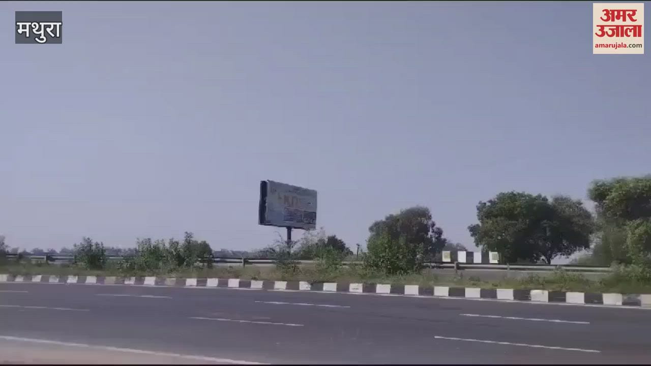 VIDEO : सीने पर खून के धब्बे और बाई आंख पर चोट...हाईवे किनारे ऐसे हाल में मिली महिला की लाश, जांच में जुटी पुलिस