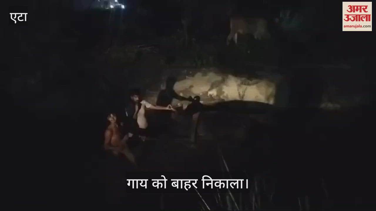VIDEO : नहर में फंस गई थी गाय, हिंदू एकता समूह के कार्यकर्ताओं ने ऐसे बचाई जान