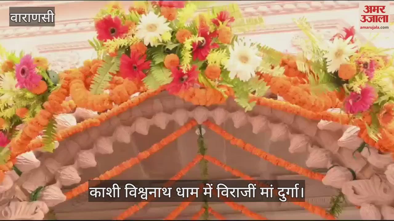 VIDEO : Navratri 2024 Celebration in kashi vishwanath dham